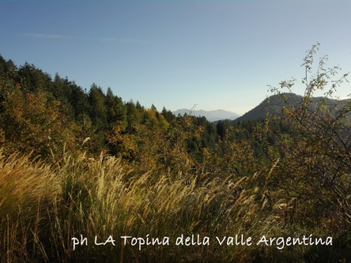 Bosco Triora - Valle Argentina