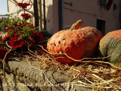 zucca autunno.jpg