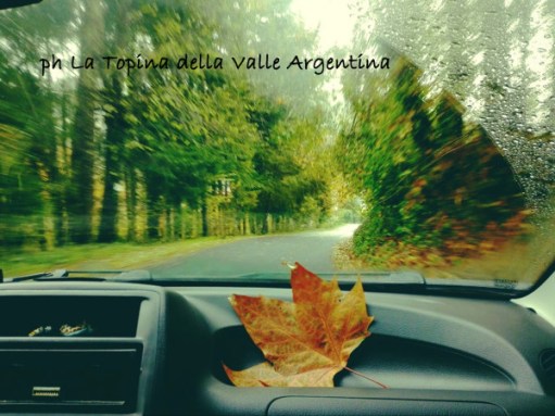 country roads2