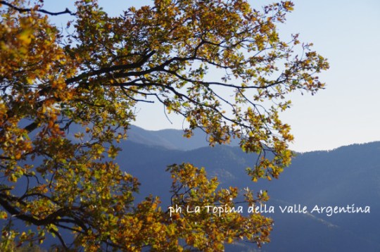 quercia valle argentina
