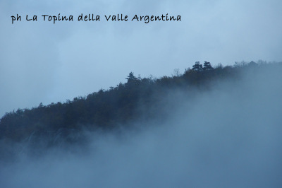 valle argentina autunno nebbia