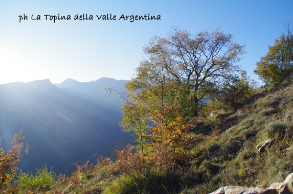 valle argentina carmo del corvo