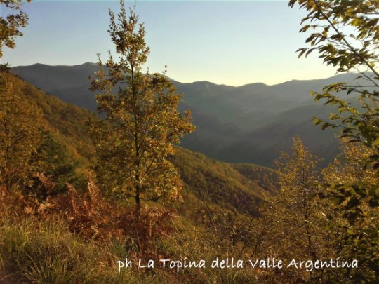 valle argentina2