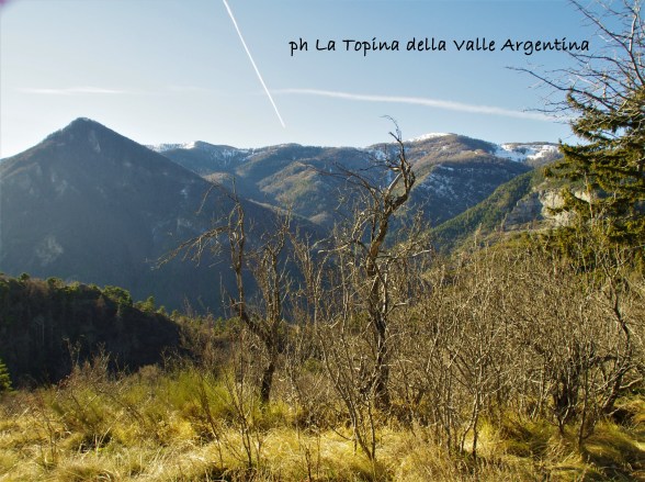 borniga gerbonte cima marta
