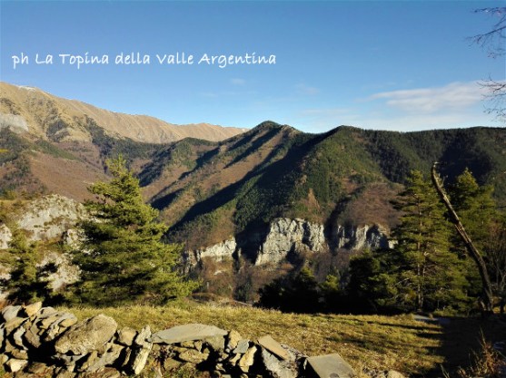 borniga panorama