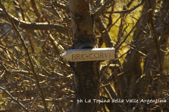 bric corvi borniga