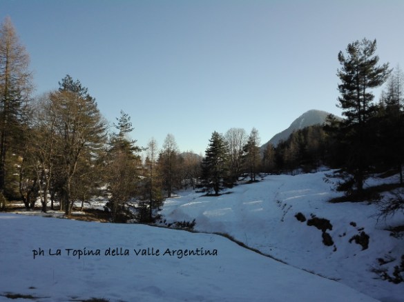 Abenin - Realdo - Gerbonte