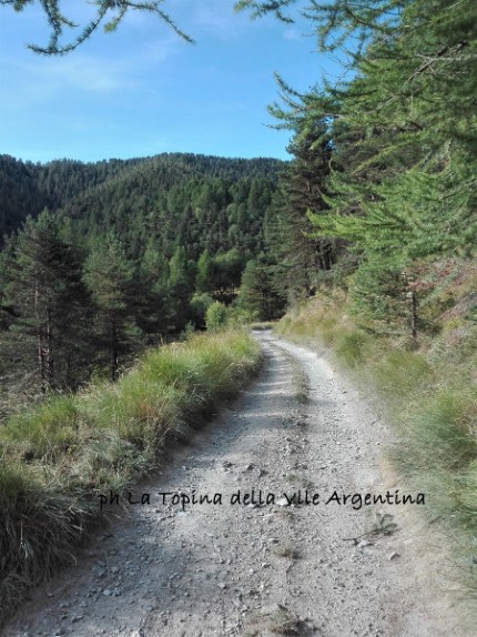 alta via realdo borniga
