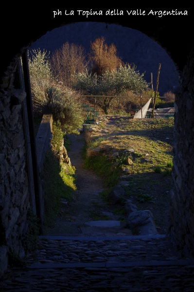 andagna3.JPG