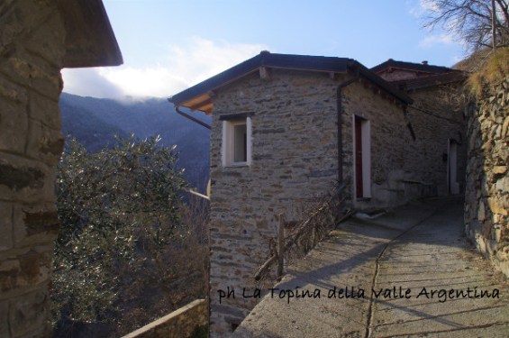 cetta2