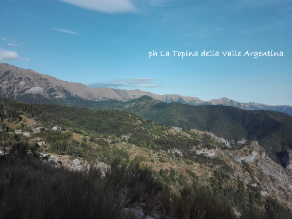 dintorni borniga realdo