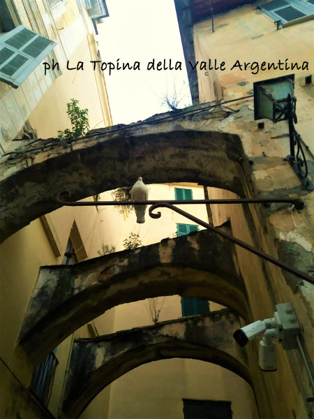 Taggia - contrafforti2