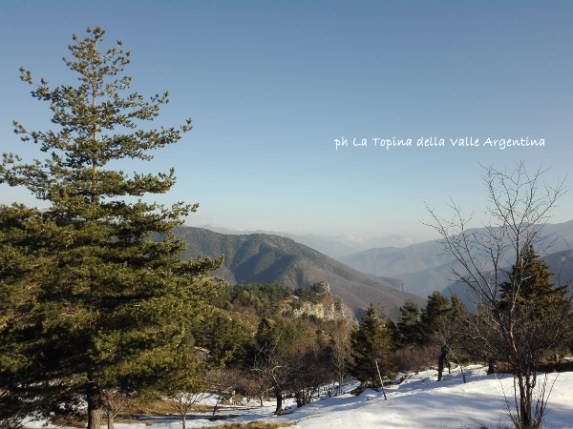 Valle Argetina - Realdo - Abenin