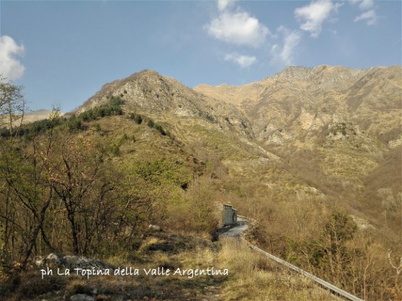 drego andagna