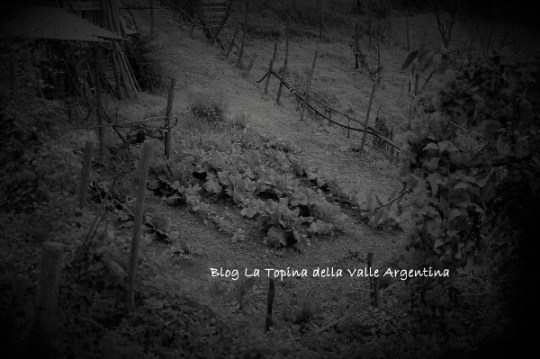 orto Agaggio