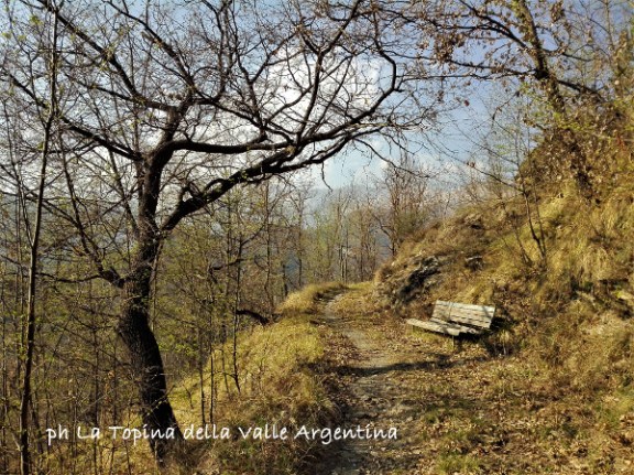 sentiero andagna panchina