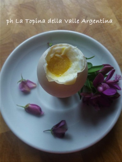 uova sode2