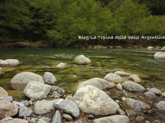 torrente Argentina Badalucco