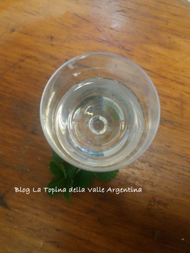 elisir fragole