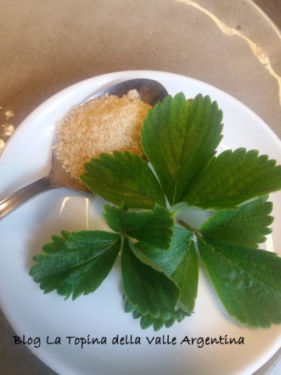 foglie di fragola e zucchero