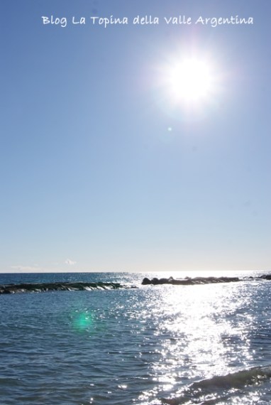 SONY DSC