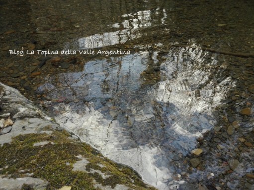 acqua torrente gerridi.jpg
