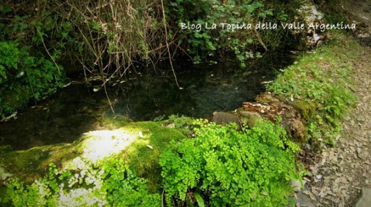 pozza d'acqua glori carpasio