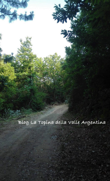 strada beuzi