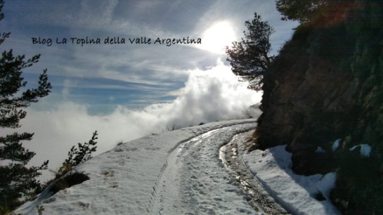 strada neve melosa grai.jpg