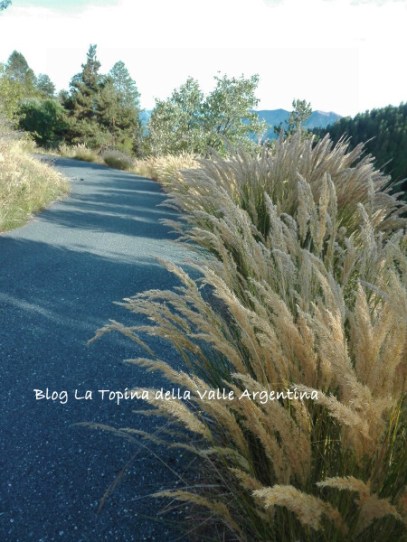 strada Realdo