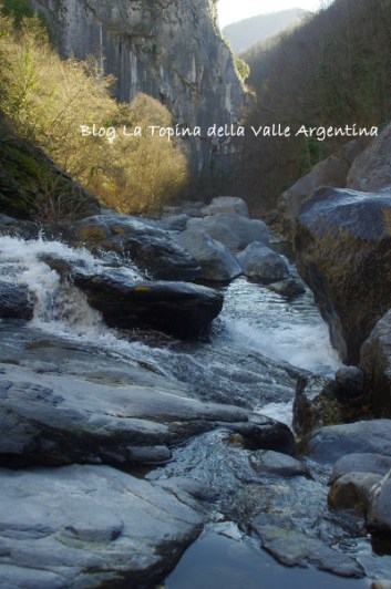 torrente argentina loreto