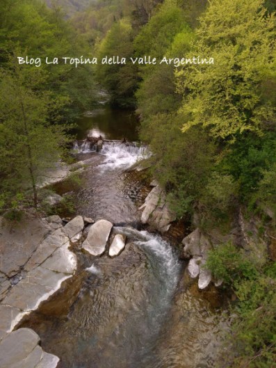 torrente argentina molini di triora