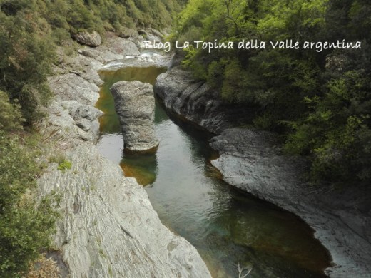 valle argentina torrente