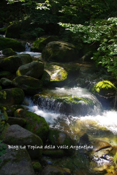 cascata pesio