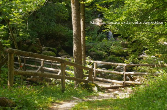 parco valle pesio