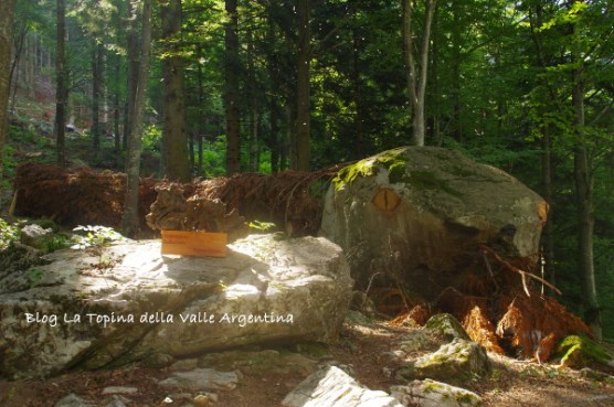 serpente bosco valle pesio