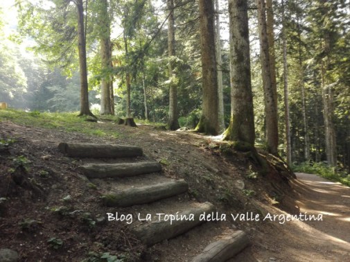 valle pesio