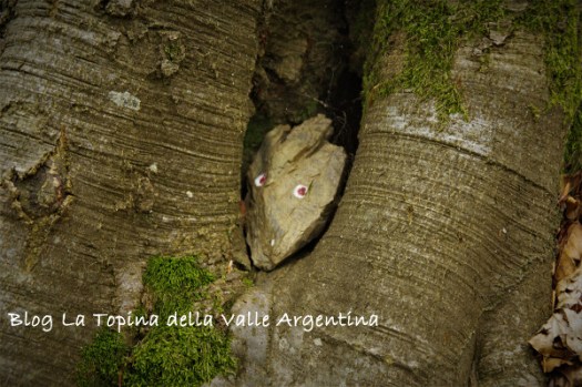 volto di pietra3