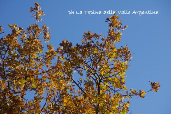 autunno valle argentina