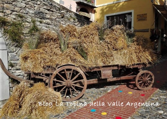 triora grano