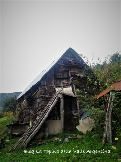 baba yaga.jpg