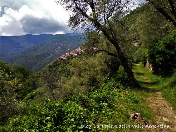 Glori borgo