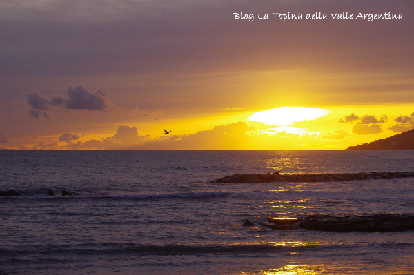 tramonto gabbiani
