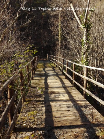 ponte legno creppo