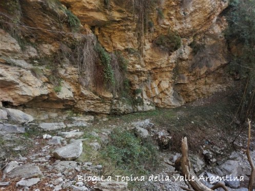 rocce