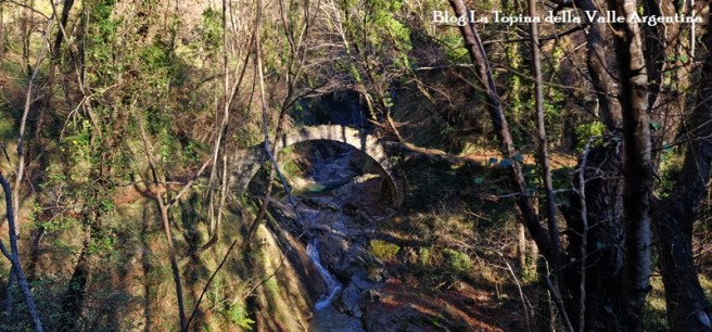 Al Ponte du Nuscu