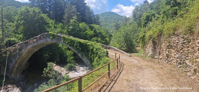 Al Ponte San Carlo - l'incontro tra il Rio Capriolo e il Torrente Argentina