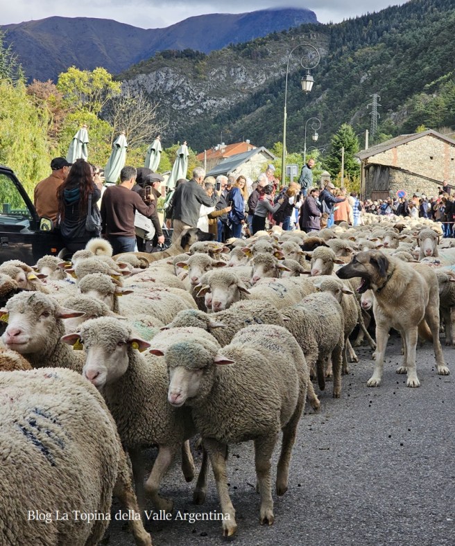 Festa della Pecora Brigasca a La Brigue